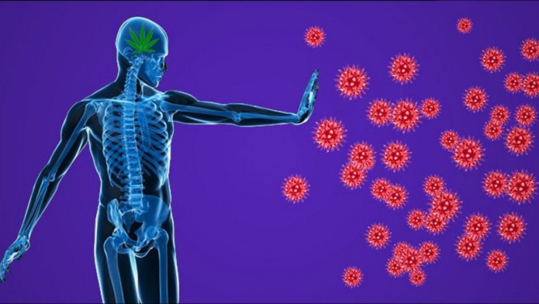 Atherosclerosis Treatment Drugs Are Used For Treating Atherosclerosis, Which Are Provided Along With Exercise and a Healthy Diet
