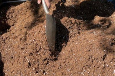 Potting Mix Additives Market GROWTH, TRENDS 2022-2028| Research Informatic