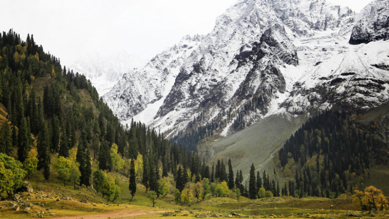 Visiting Jammu & Kashmir In December: What To Do?