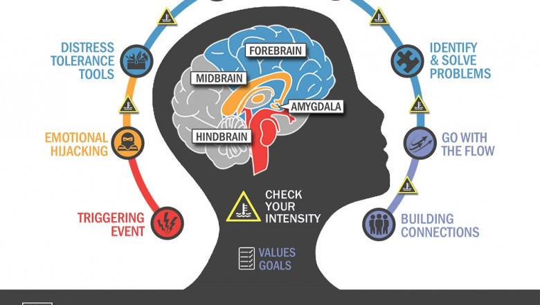 Life Launch Centers Resilience Model now has a new online resilience...