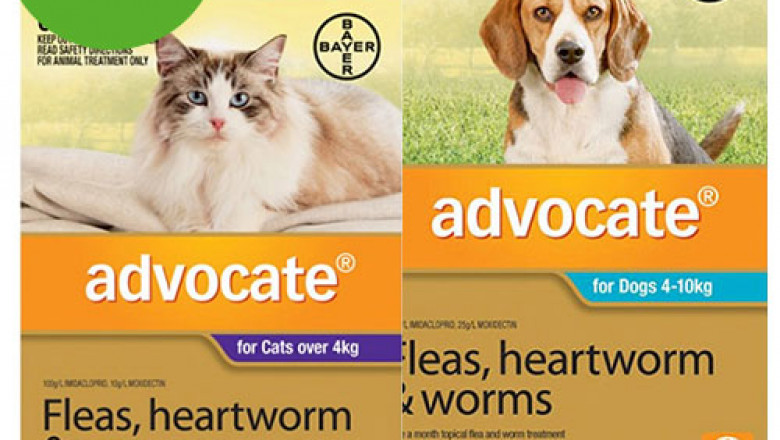 Advocate for Cats Over 4 Kg + Advocate for Dogs Combo Pack