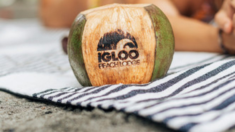 Looking for a Staycation Resort? Read This Article