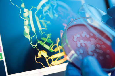 Protein Detection and Quantification Market 2022 – Huge Growth Opportunities and Expansion by 2025 |Research Informatic