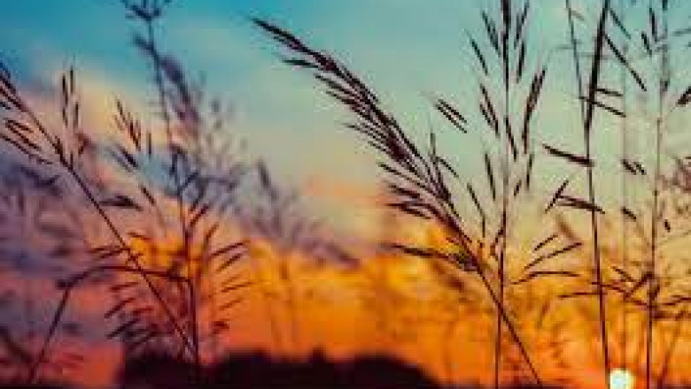 Why Spend As You Move SEO is the Way Forward