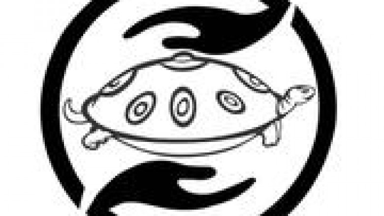 Get the best handpan drum
