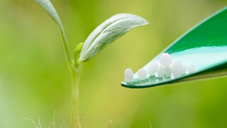 Nano Urea Market is Expected to Grow at a CAGR of 16% by 2035 | ChemAnalyst