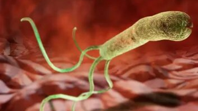 Helicobacter Pylori Diagnostics Market worldwide market size and share 2022-2028| Research Informatic