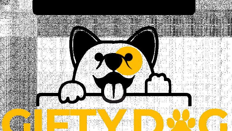 Buy Best pet accessories online in the USA at giftydogstore