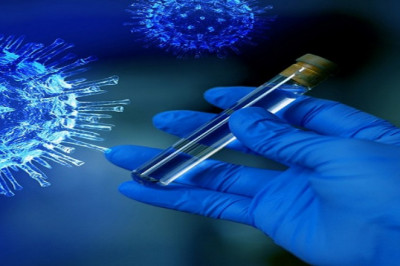 COVID-19 Diagnostics Market Competitive Landscape, Assumptions, Objectives, Analysis to 2029