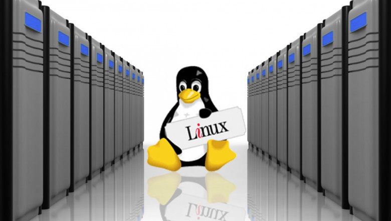 Finding stowed away bits of knowledge on Linux Hosting