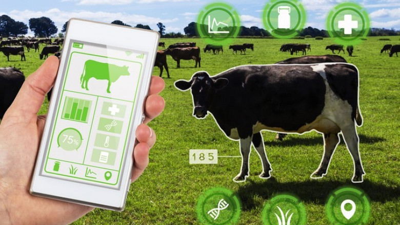 Livestock Monitoring Market Size & Share: Demand & Supply Risk Analysis Forecast to 2027