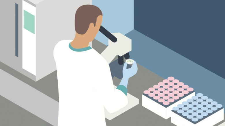 Rapid Medical Diagnostic Kits Market Dynamics, Opportunities, Challenges, Share, Analysis Forecast to 2028