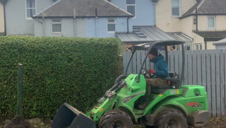 Selecting a Local Business for Tree Felling Services