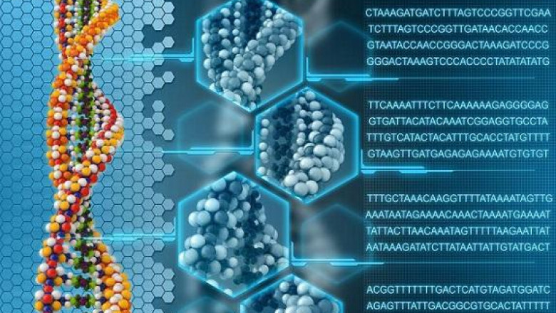 What areBioinformatics Platforms methods?