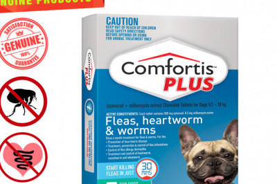 COMFORTIS PLUS for 9.1 to 18 Kg Dogs 6 Chews Flea Heartworm Control