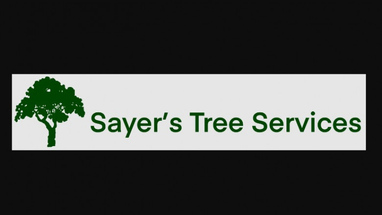 Tips to Help You In Picking out The best Tree Cutting Service