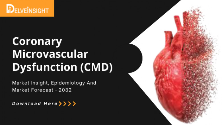 What is the Coronary Microvascular Dysfunction Market &amp; Epidemiology?