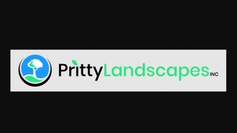 Landscape Design Ideas Guide