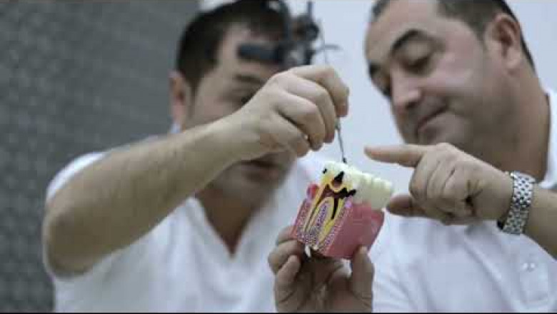 Root Canal Specialist Los Angeles