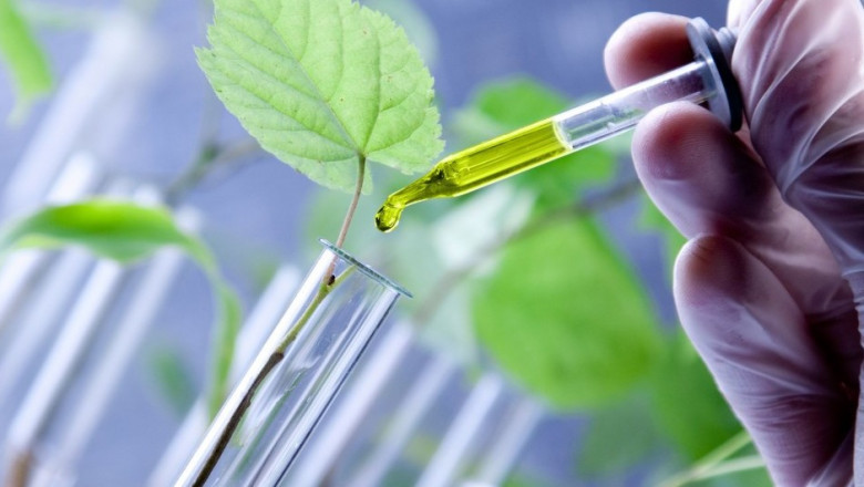 Bio-Based Chemicals Are Obtained From Starch, Cellulose Derivatives, and Fermentation of Ethanol