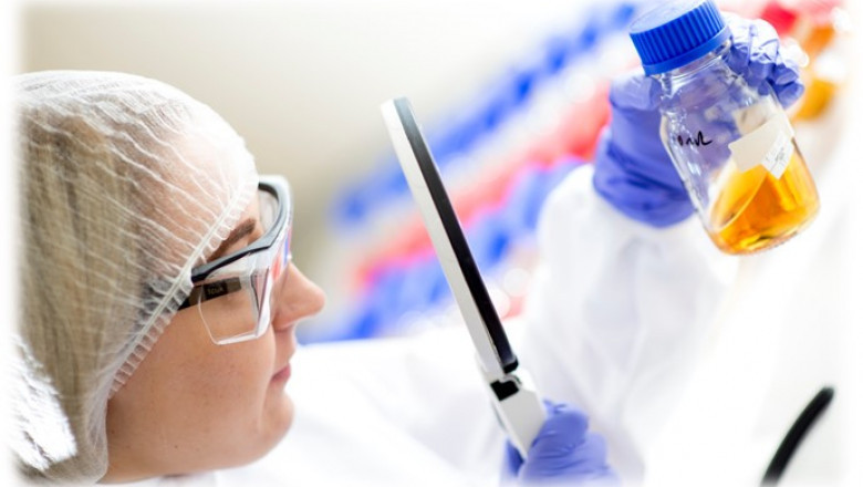 Sterility Testing Market: Global Opportunity Analysis and Industry Forecast, 2022-2029