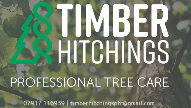 Value of Having a Tree Service