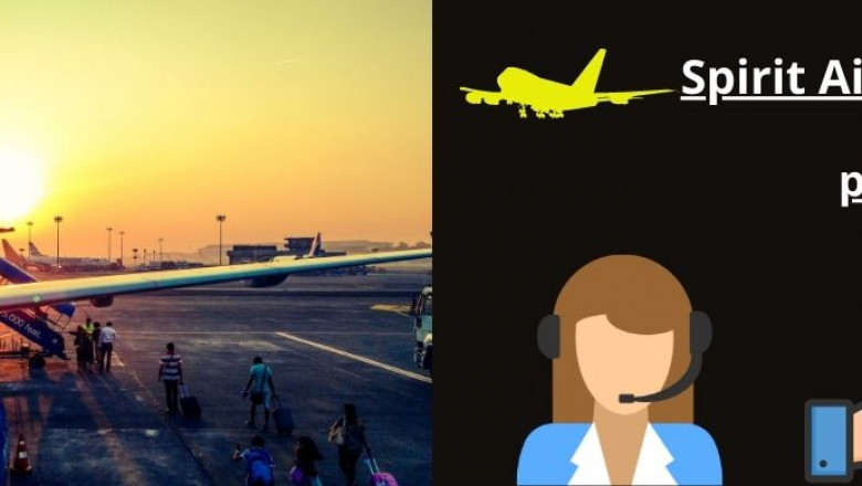 What is the Spirit Airline Refund Policy?
