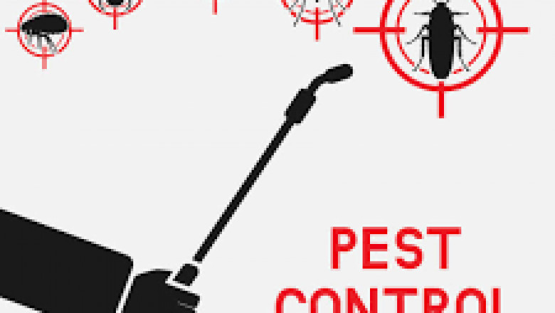 What to Get Out Of Professional Pest Control Firms