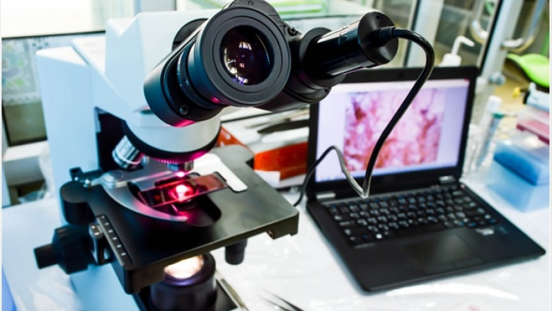 Digital Pathology Market Size, Share, Covid 19 Impact, Competition, Trends and Growth Opportunities 2019 - 2027