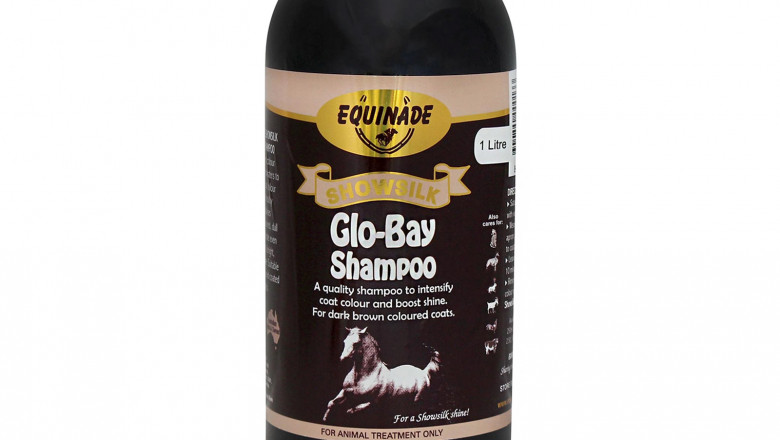 Equinade Showsilk Glo Bay Shampoo Online | DiscountPetCare