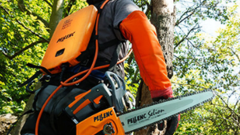 Tree Removal Pass Christian _ Acadian Tree and Stump Removal Service