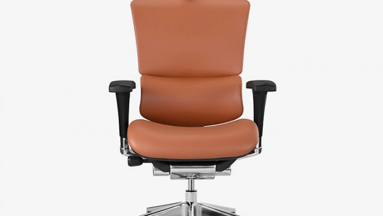 Choosing the Best Ergonomic Office Chair