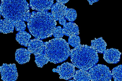 3D Cell Culture Market Is Expected to Achieve Popularity Across the Globe by 2026