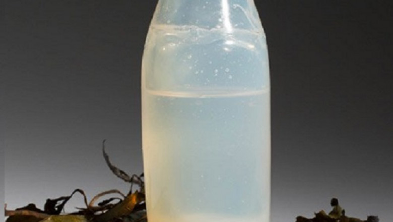 Biodegradable Algae Water Bottles Market Overview, Analysis forecast to 2029