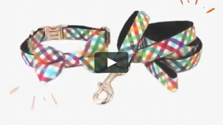 Buy all Pet Accessories online in the USA online at curlitail | Online Dog accessories shop in the USA