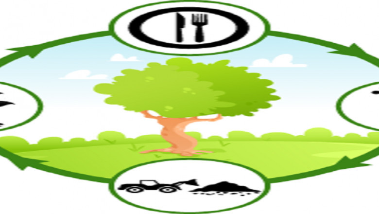 Food Waste Management Market Trends, Size, Segments, Emerging Technologies and Industry Growth by Forecast to 2029