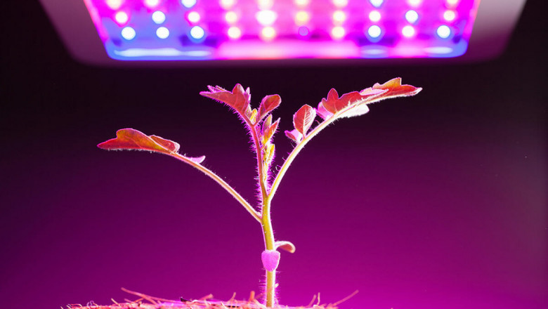 GCC Grow Light Market: Industry Size, Share, Growth, Opportunities and Forecast 2021-26