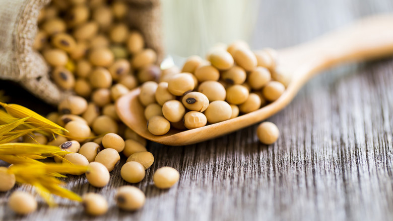 Lecithin Market Report Analyzes Top Countries Data with Industry Size, Market Demand Penetration, and Forecast