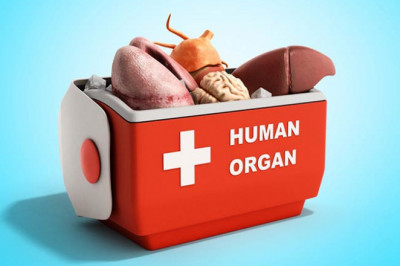Transplantation Market Trends, Size, Segments, Emerging Technologies and Industry Growth by Forecast to 2028