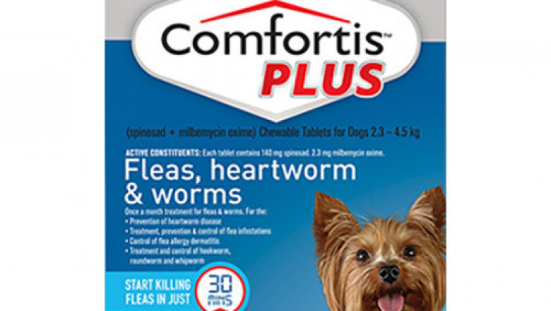 Dog Supplies | Discount Dog Foods, Products & Accessories Online | DiscountPetCare