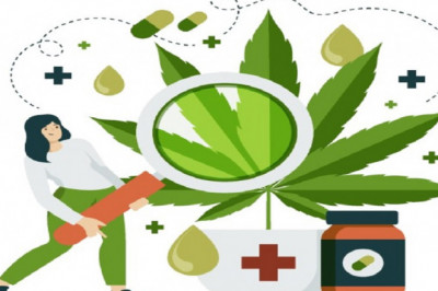 Everythings you Should Know Before Using Maria CBD Oil