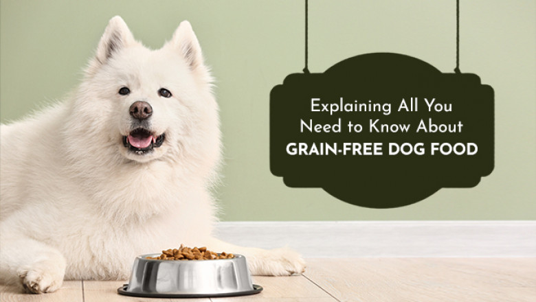 Explaining All You Need To Know About Grain-Free Dog Food | DiscountPetCare