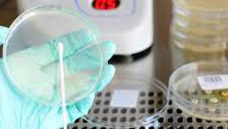 Global Study on Pyrogen Testing Market: Animal-free Testing Methods Setting a New Trend