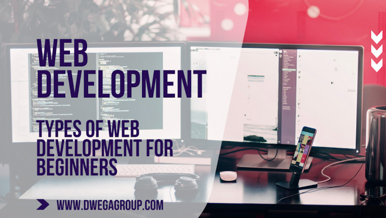 What Is Web Development? Types of Web Development for Beginners