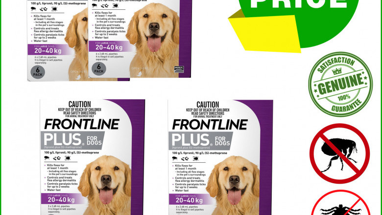 Frontline Plus for 20 To 40 Kg Dogs for Flea and Tick Treatment