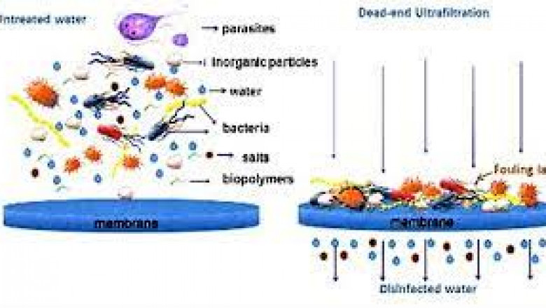 Membrane Filtration Global Market Growth New Business Opportunities and Challenges, Upcoming Trends, Future Planning &amp; Forecast to 2028