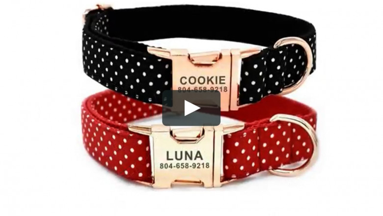 Online Pet Accessories in the USA.mp4