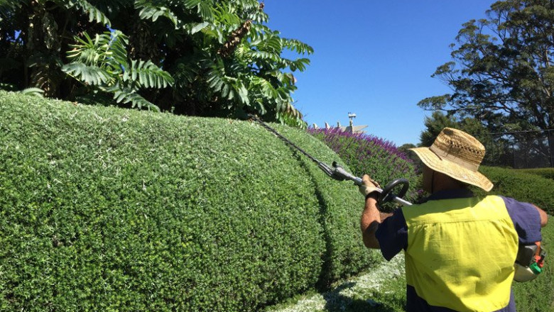 Advantages Of Hiring Expert Gardening Services That You Should Know