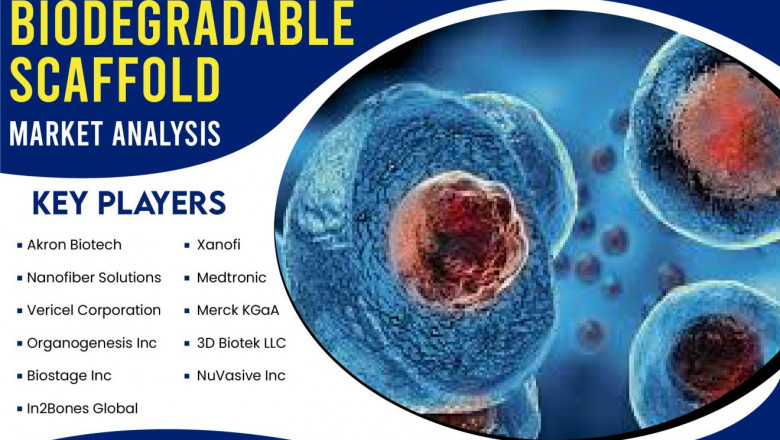 Biodegradable Scaffold Market 2022 Future Growth – Merck KGaA, 3D Biotek LLC, Medtronic, Xanofi, Akron Biotech, Nanofiber Solutions