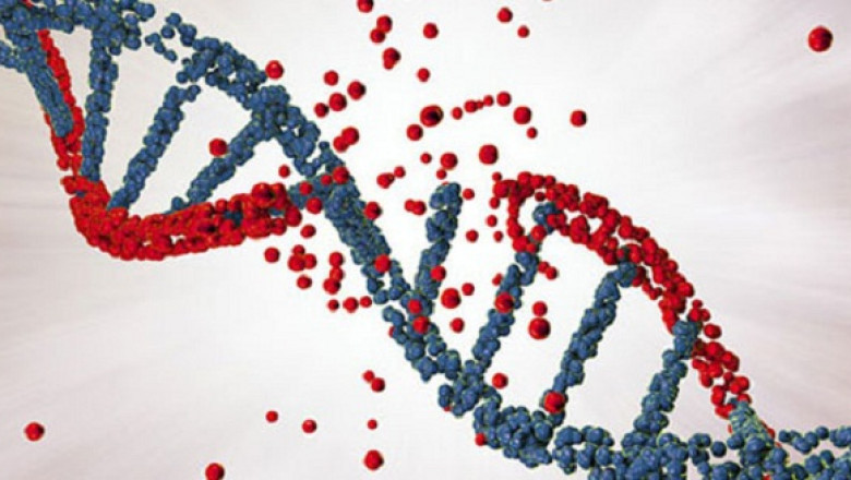 Genetic Disorders Market Trends, Key Players, Overview,  Demand, Regional Forecast By 2028